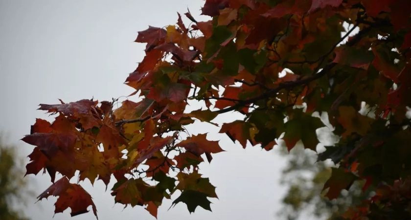 Погода в Башкортостане: начало октября будет сухим и умеренно теплым