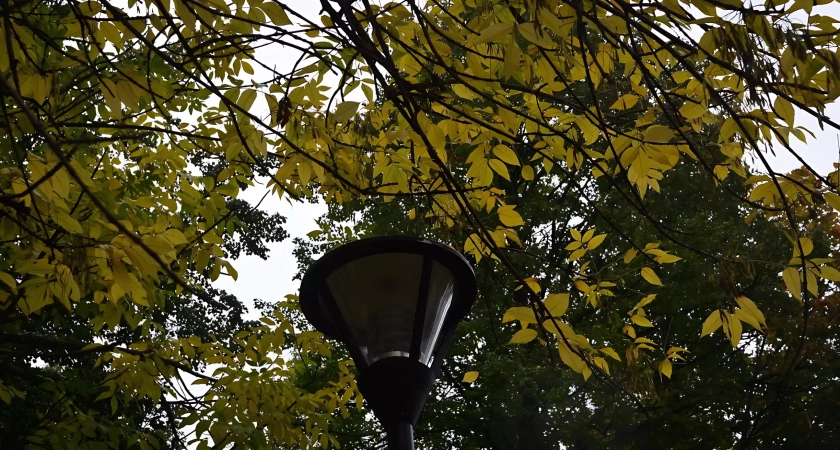 Синоптики предупреждают о резких перепадах температуры в Башкирии 3 октября