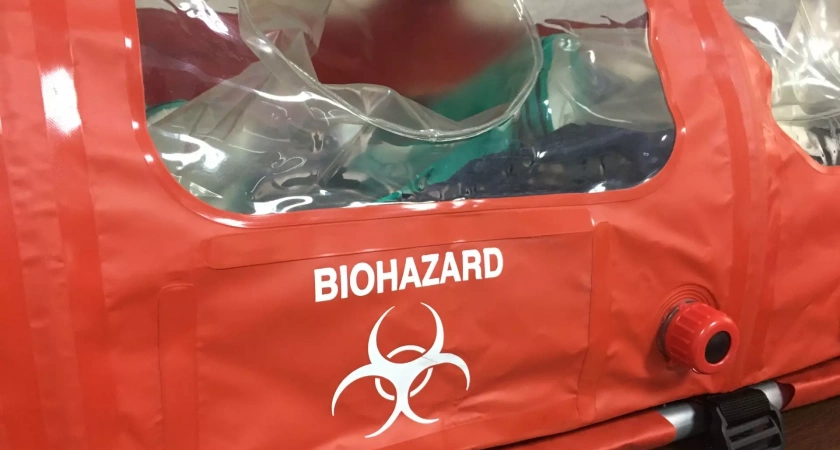 Марбургская лихорадка вызывает тревогу у ВОЗ на фоне новых штаммов COVID-19