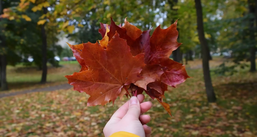 Погода в Башкирии: ночью прохладно, днем тепло как летом
