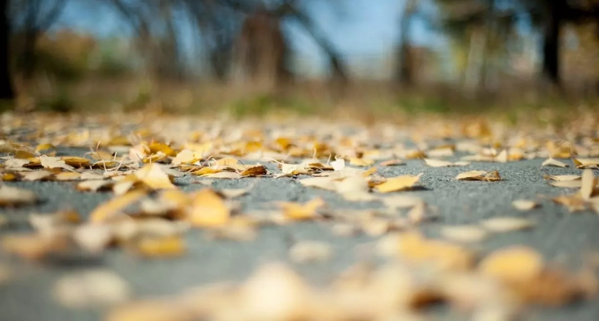 В Башкирии резко похолодает: мокрый снег и до -8 градусов ночью