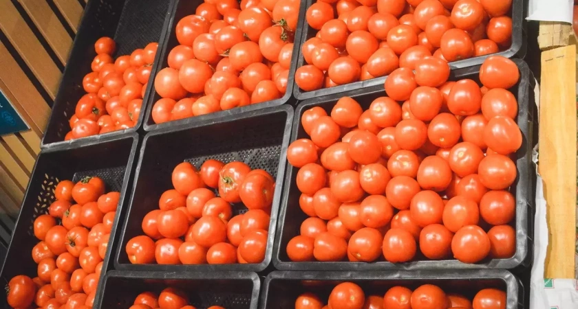 В Уфе пройдут сельхозярмарки на длинных выходных