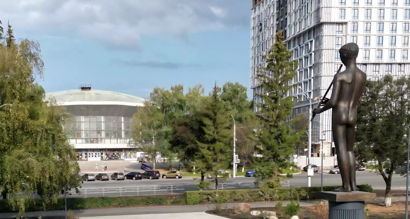 Глава района поделился стихотворением о "Мальчике с кураем"