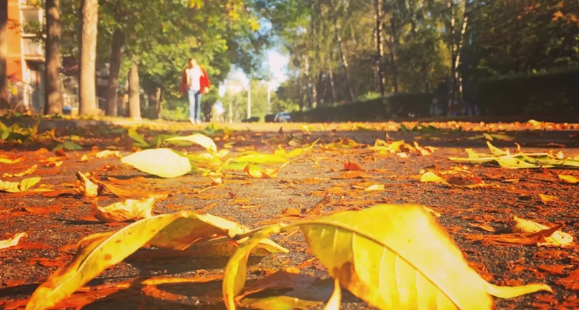 В Башкирии похолодало, но синоптики обещают потепление