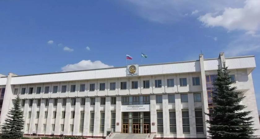 Башкирия отозвала законопроект о запрете пропаганды чайлдфри