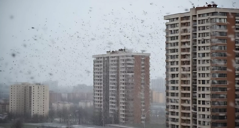 Синоптики обещают снежный ноябрь с похолоданием до -12 градусов