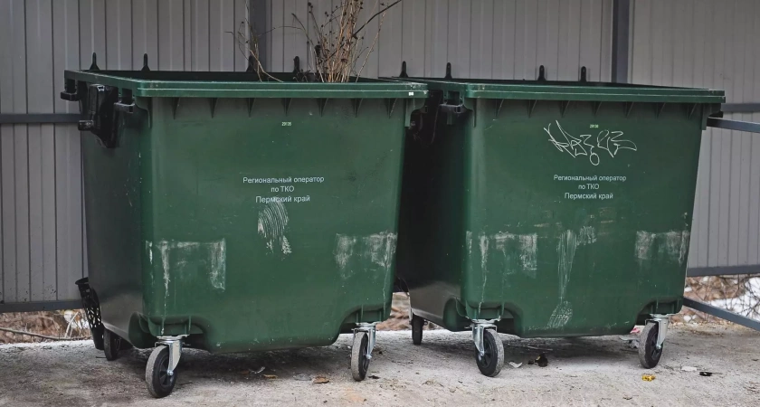 Пять регионов России оказались в аутсайдерах по обеспеченности мусорными контейнерами