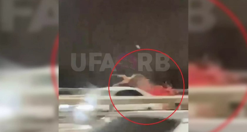 В Уфе автомобиль сбил лося на Затонском шоссе