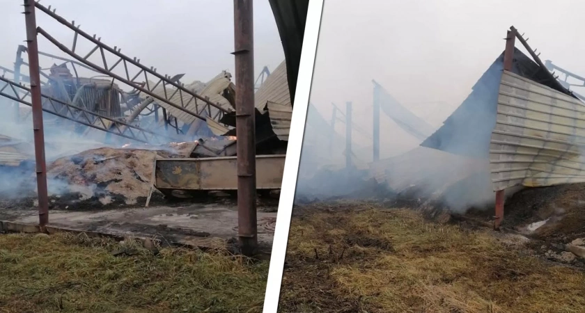 В Башкирии сгорело 600 тонн сена на частном складе