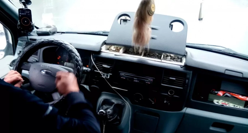 В Уфе за выходные поймали десять пьяных водителей