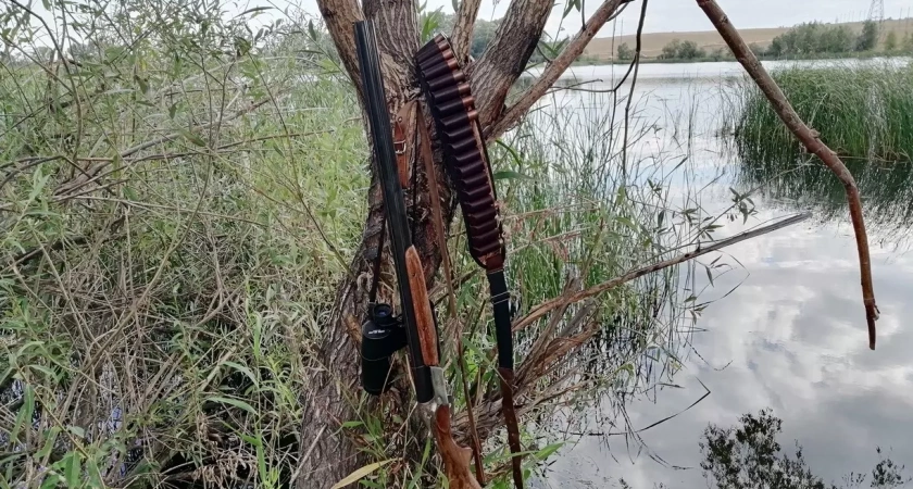 В Башкирии браконьеры убили двух косуль на 320 тысяч рублей ущерба