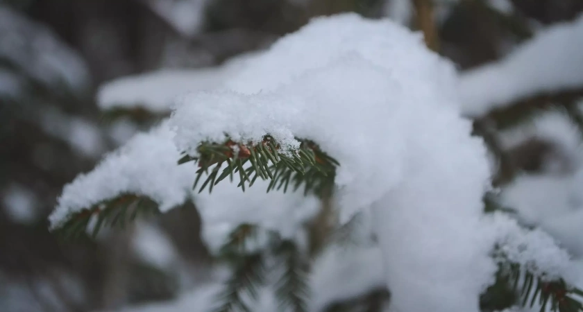 Шихан Торатау закрыли для посещений до весны из-за наледи