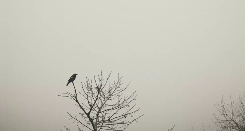 В воскресенье в Башкирии будет тепло и туманно