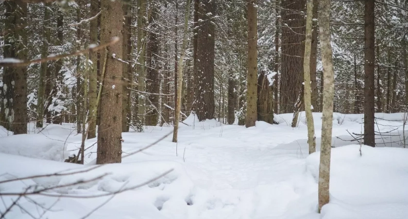 В Уфе пропали двое детей-подростков