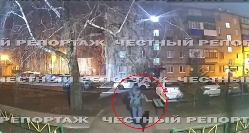 Житель Башкирии выбросил собаку с высоты после издевательств