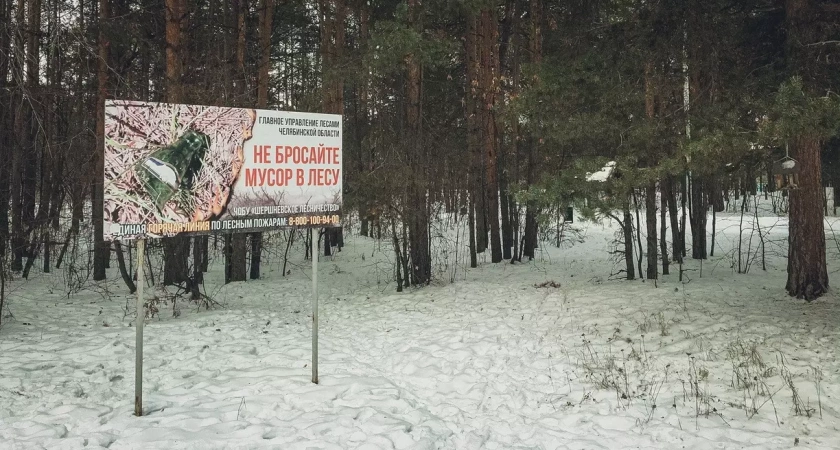 Лесничий в Башкирии брал взятки за незаконную вырубку леса
