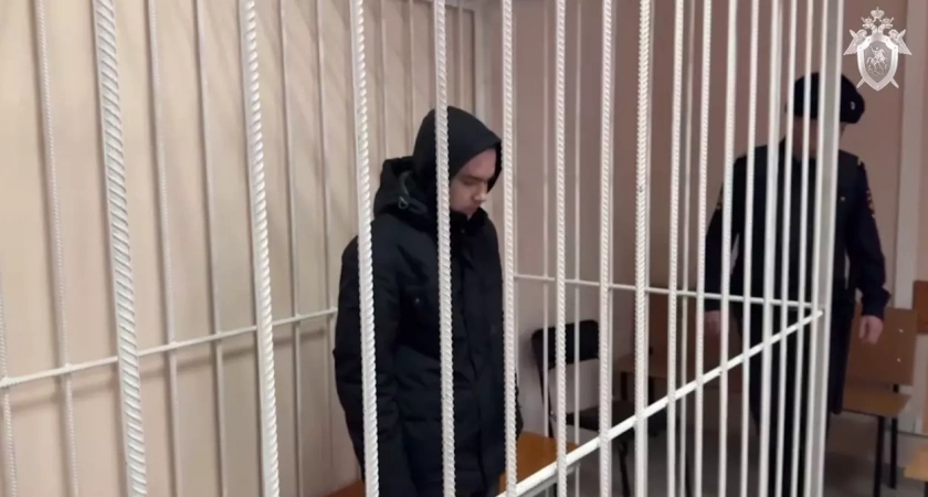 В Уфе арестовали первого в России кибербуллера за травлю 16-летней девушки