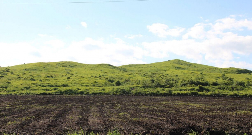 Житель Башкортостана пожаловался Бастрыкину на торговлю участками для малоимущих