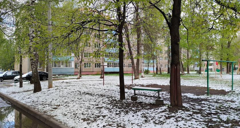 Черемуховые холода возвратятся в Центральную Россию: метеорологи обновили прогноз на май