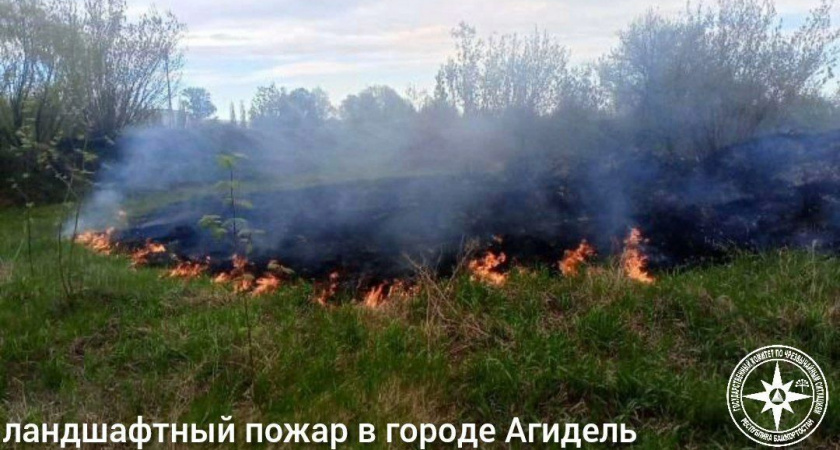 В Башкирии за сутки произошло пять природных пожаров