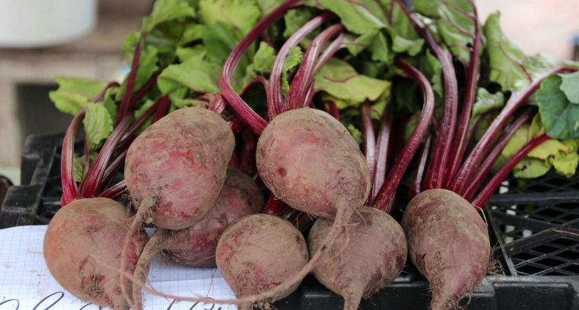 Свекла подорожала на 5% за неделю в Башкортостане