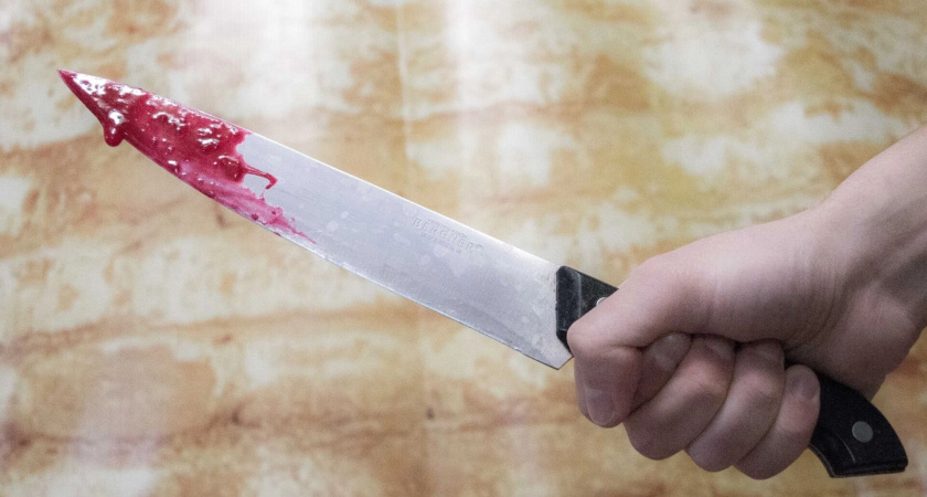 В Башкортостане 16-летняя девушка ранила ножом старшего брата