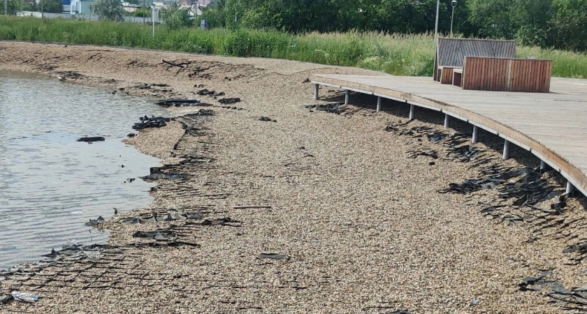 Парк в Сибае приводят в порядок только для приезжих гостей