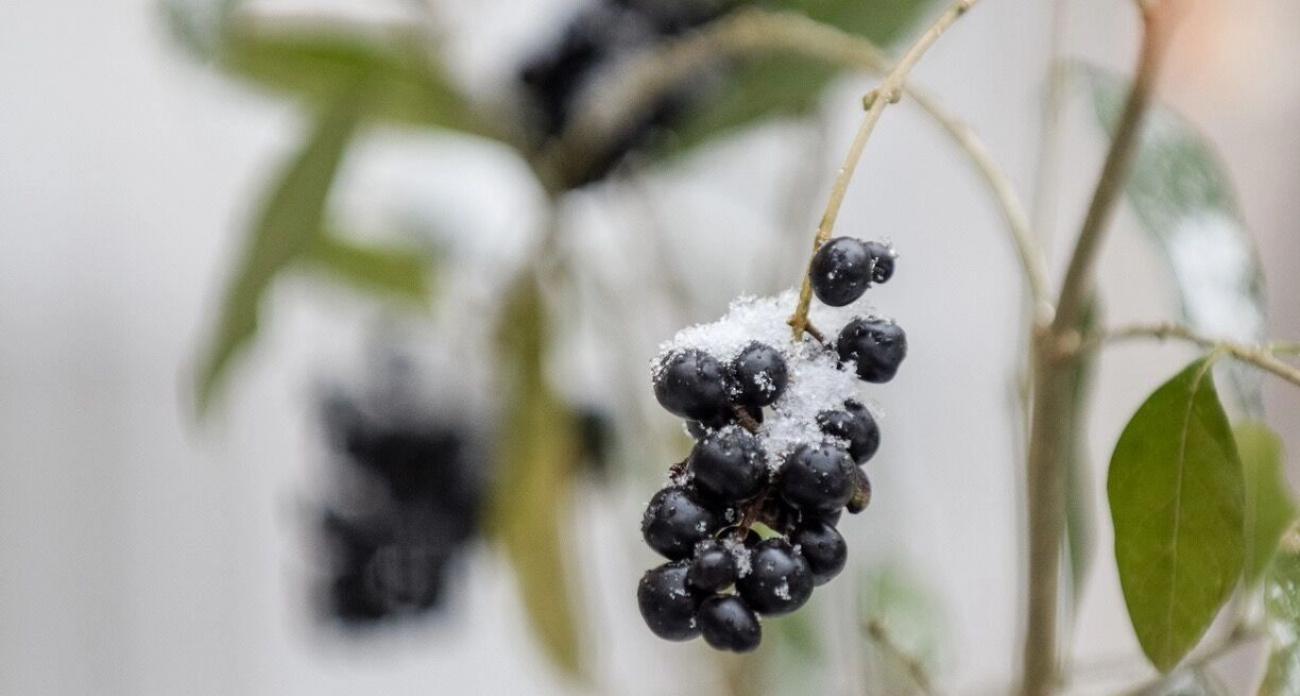 В Башкирии ожидаются дожди с грозами и градом