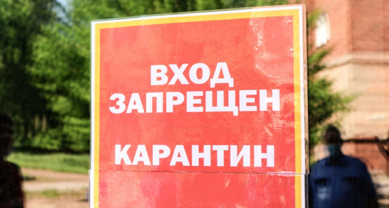 В Башкортостане установили карантин на 240 га из-за агрессивного сорняка-гиганта высотой 3 метра