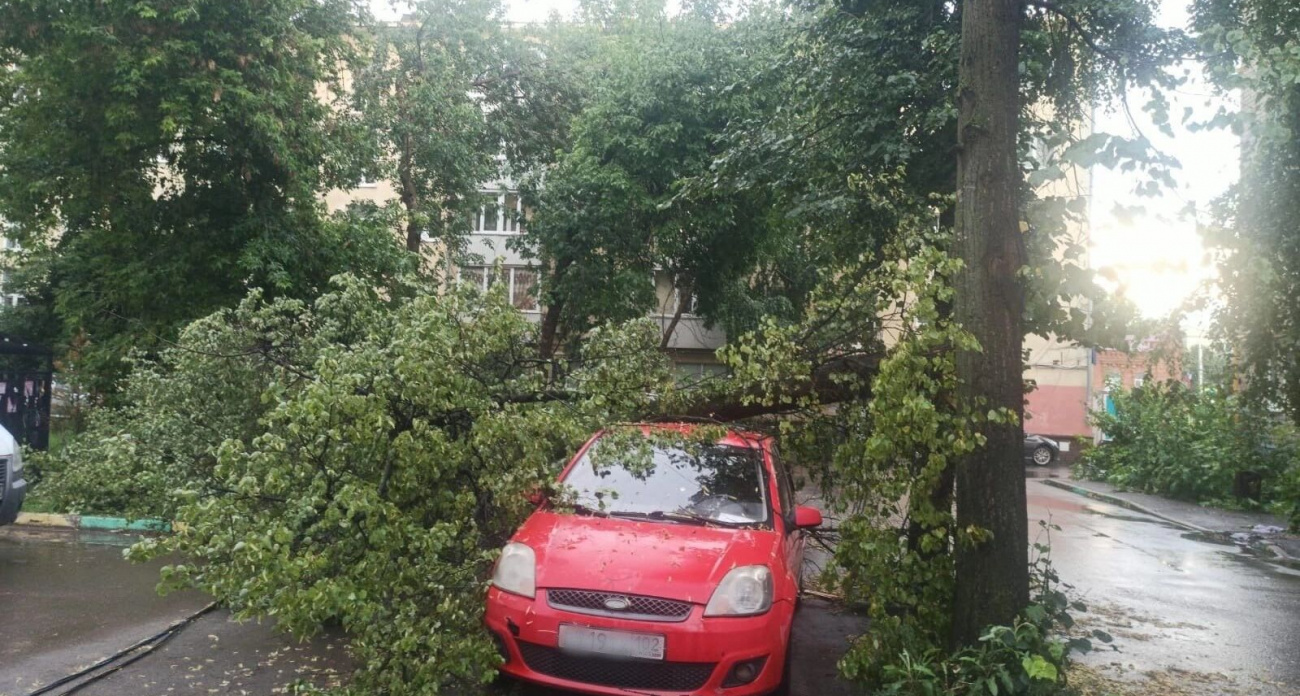 Ливень в Уфе принес половину месячной нормы осадков за сутки: затоплены улицы, повалены деревья, повреждены 4 авто