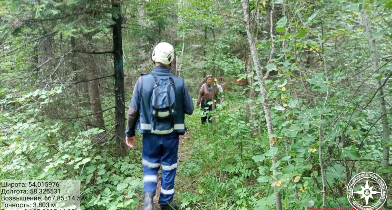 Восемь туристов с 11-летним ребёнком провели 9 часов в башкирском лесу, пытаясь найти дорогу