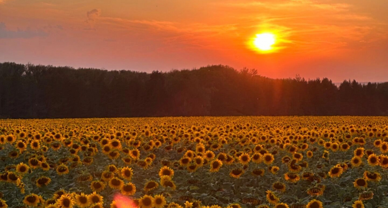 В Уфе +30°С и полный хаос: улица Крупской перекрыта до вечера