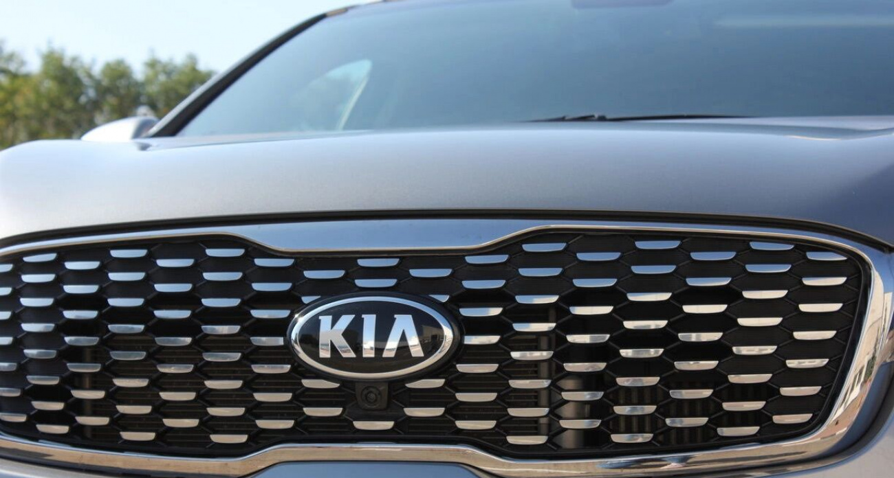 За выходные на трассе Стерлитамак-Магнитогорск два автомобиля Kia сбили лося и косулю
