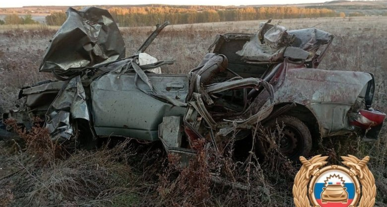 Лишённый прав водитель и двое 17-летних подростков погибли в ДТП с лошадью в Башкирии