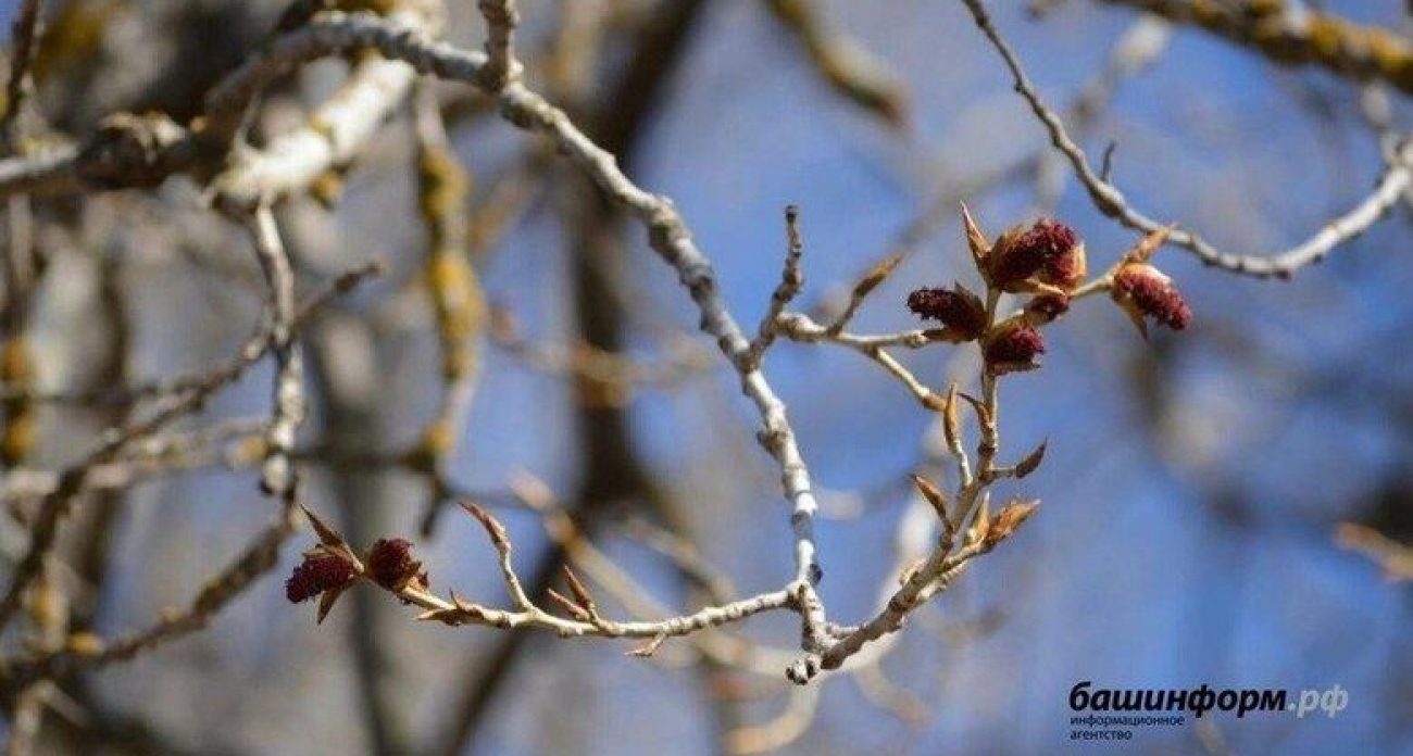 Дожди со снегом и до -4°: Башкирию накроет арктическим фронтом уже в выходные