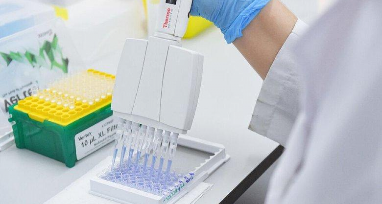 BRZ batCoV из бразильских летучих мышей: Роспотребнадзор оценил риск передачи человеку