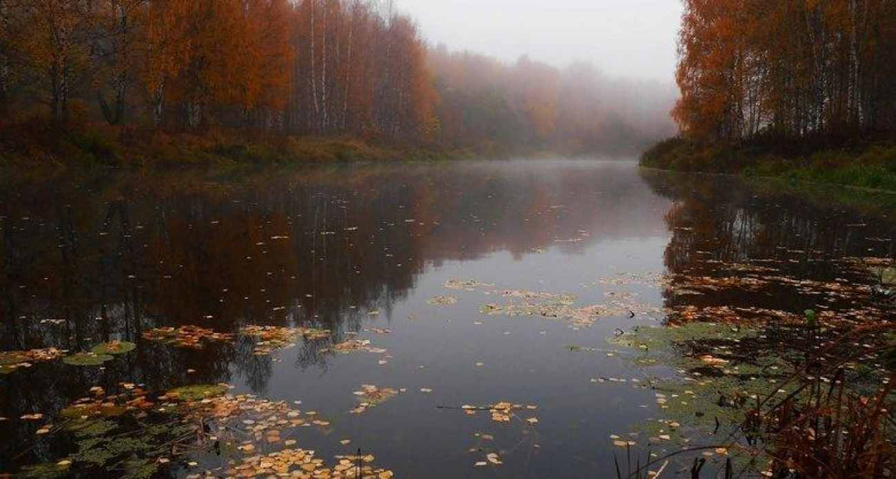 Отец с сыном потерялись на рыбалке в Башкирии: спасатели напомнили три правила выживания