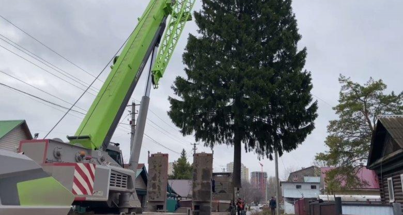 Огромную ель из частного сектора спилили краном для первой новогодней ёлки Уфы