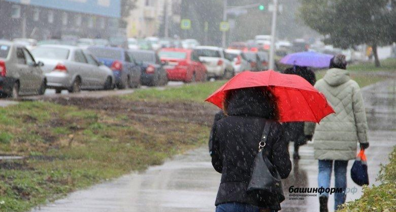 Порывы до 20 м/с и гололед накроют Башкирию: видимость упадет до километра