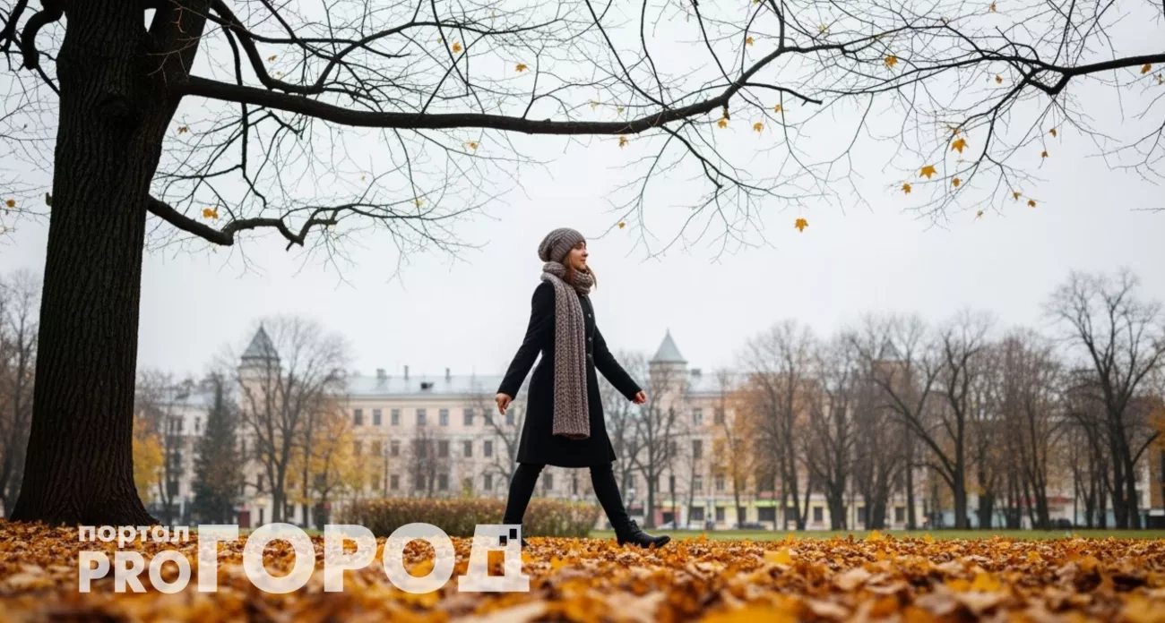 Тельцам стоит уделить внимание деньгам, а Водолеев ждёт реализация творческих замыслов