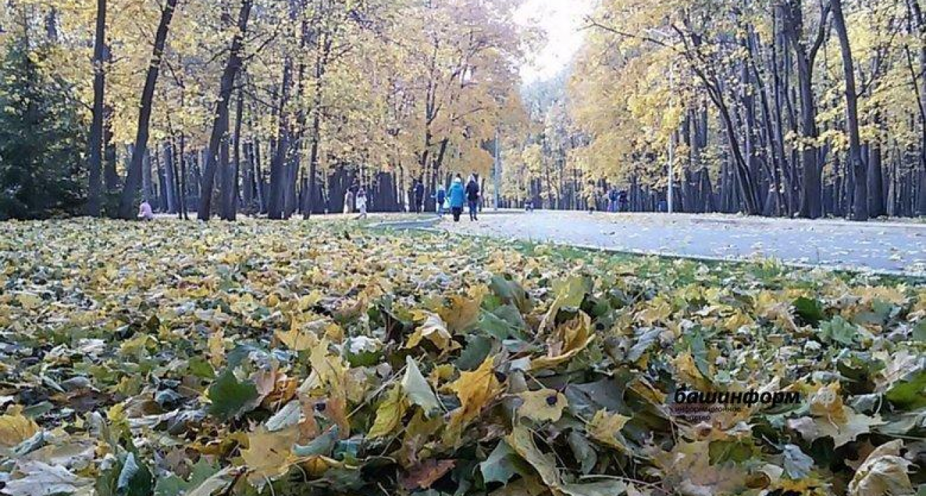 До +9 и дожди: Башкирию накроет аномальное ноябрьское тепло