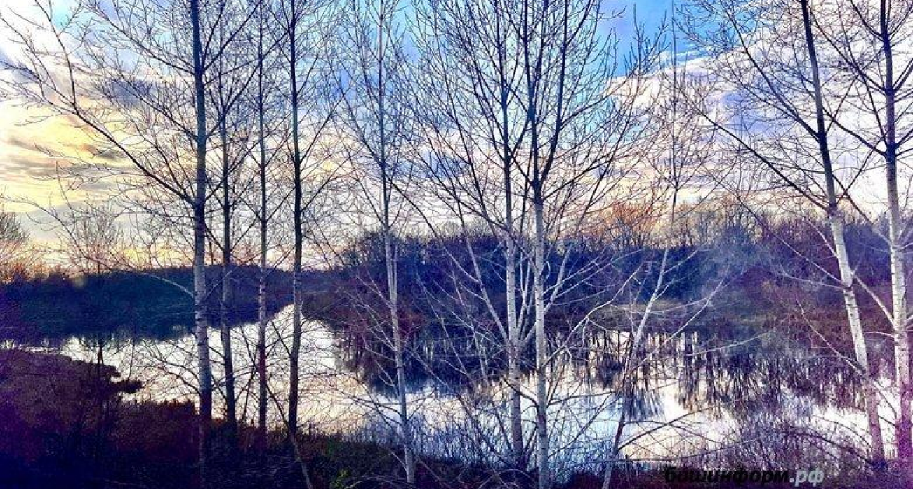 Ледяной дождь и гололед накроют Башкирию: синоптики предупреждают об опасности на дорогах