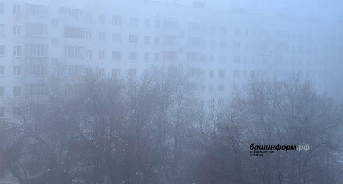 Видимость 500 метров и порывы до 20 м/с: Башкирию накроет туман и гололед 19 ноября