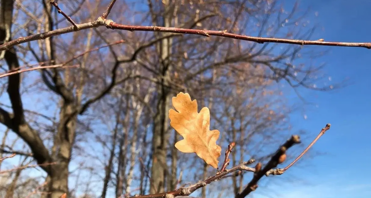 На Уфимском шоссе завершили укладку асфальта и установку 11 светильников
