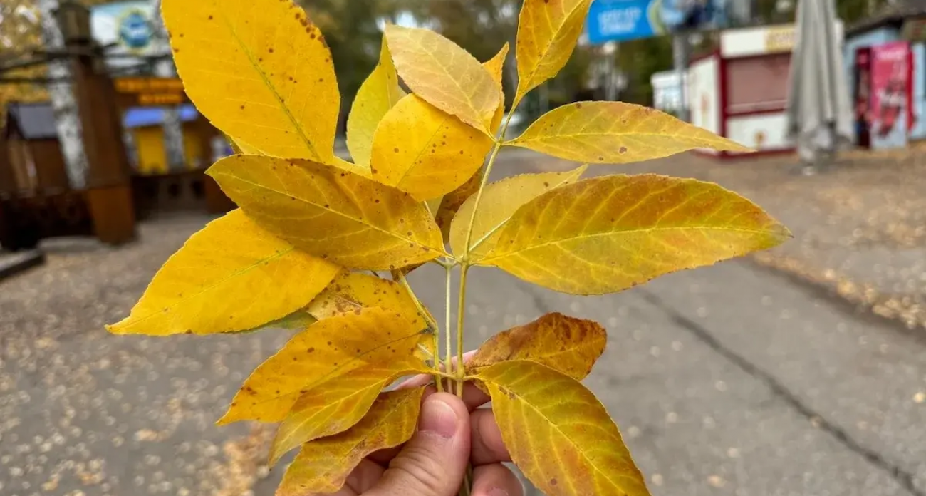 Санатории Башкирии подорожали на 11%, а отдых за границей дешевеет