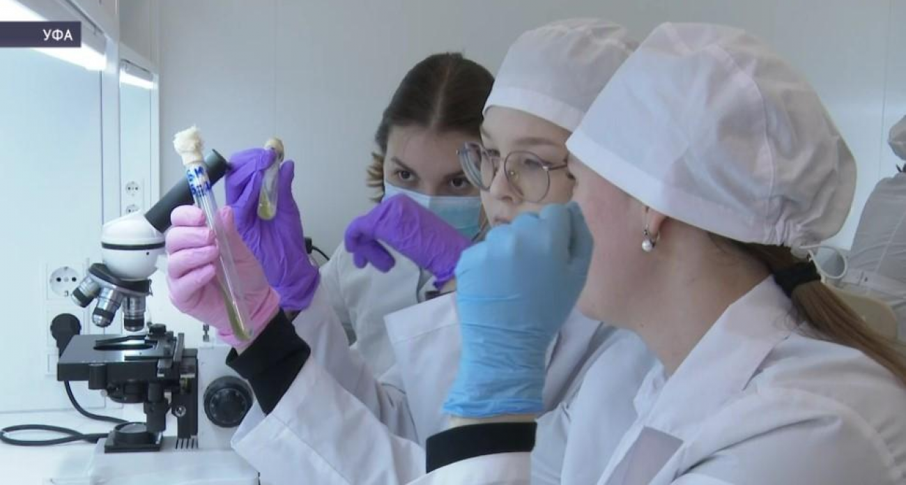 «Немалое количество выбрали другие профессии»: будущие врачи Башкирии — об обязательной отработке