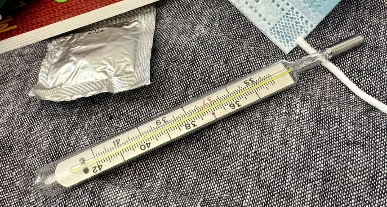 ОРВИ в Башкирии растёт: школы закроют при отсутствии 20% учеников