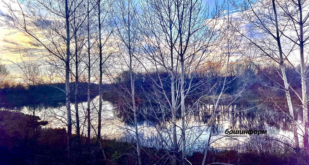 71 жизнь за 11 месяцев: в Башкирии аномальное тепло не дает замерзнуть водоемам