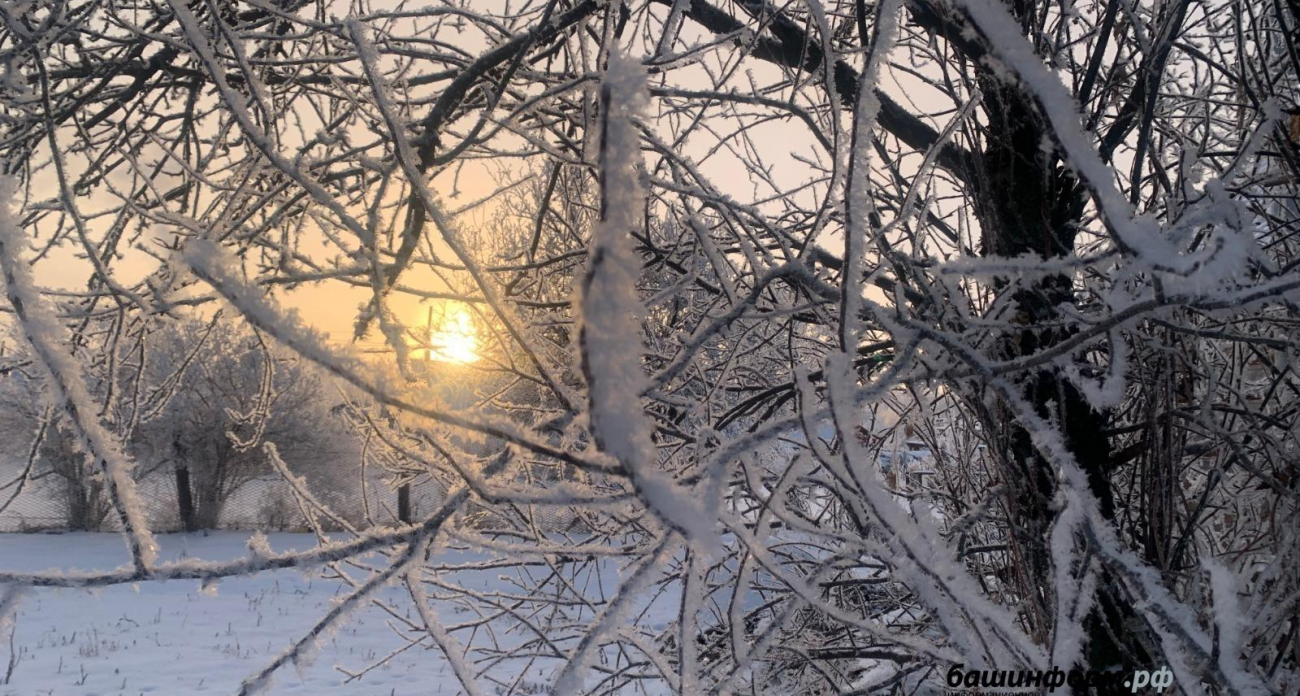 Самая длинная ночь в году: в Башкирии 22 декабря темнота продлится почти 17 часов
