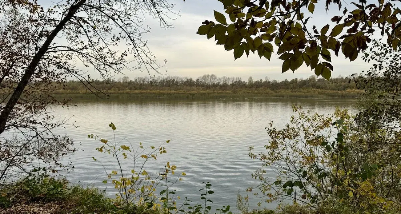 Мост Черниковка-Затон: Минэк оценивает эффективность проекта после одобрения Росавтодора